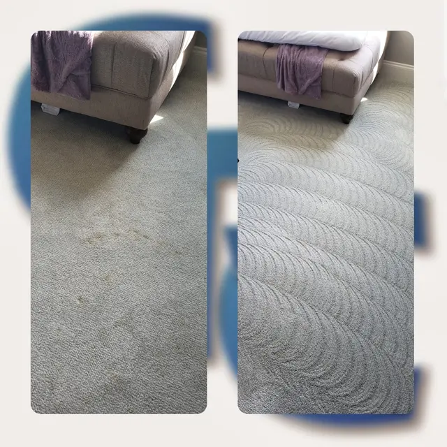 Carpet Pro Cleaners — photo from the business 10