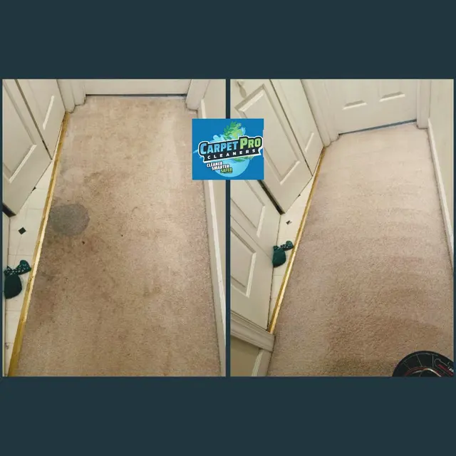 Carpet Pro Cleaners — photo from the business 8