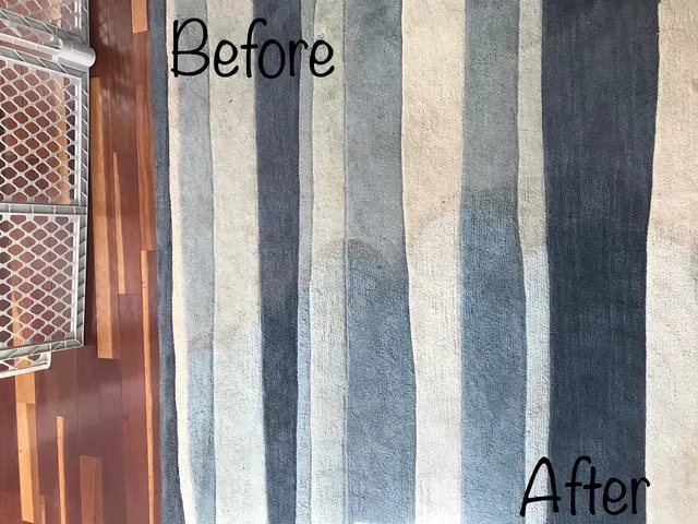 Carpet Pro Cleaners — photo from the business 9