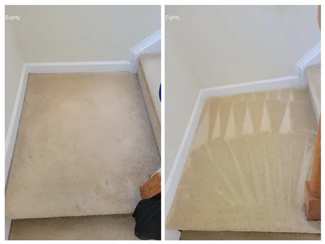 Carpet Pro Cleaners — photo from the business 1