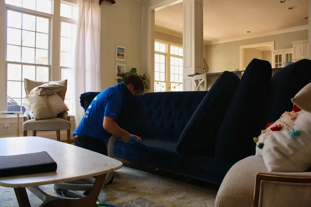Carpet Pro Cleaners — photo from the business 6