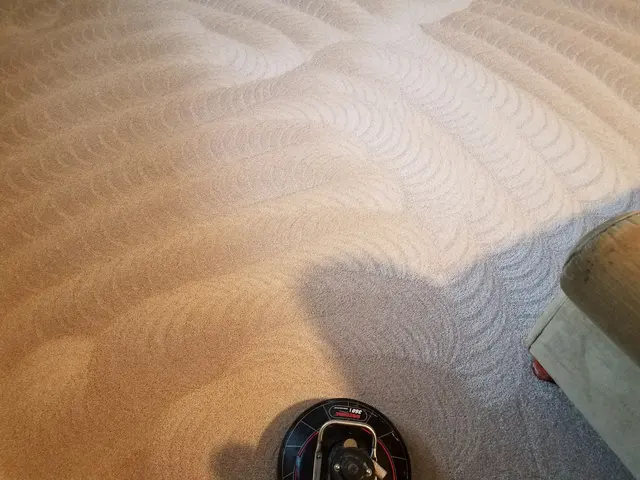 Carpet Pro Cleaners — photo from the business 7