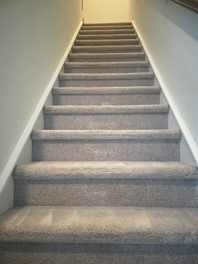 Carpet Pro Cleaners — customer photo 5
