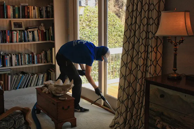 Carpet Pro Cleaners — photo from the business 10