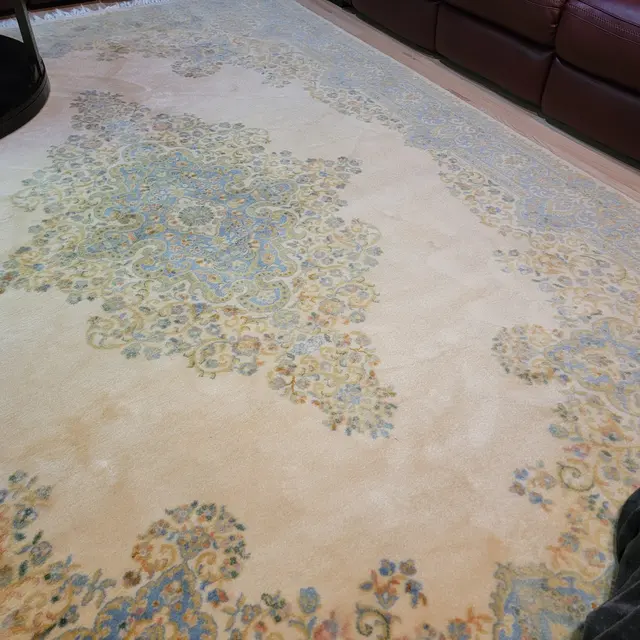 Customer photo from Leslie's review