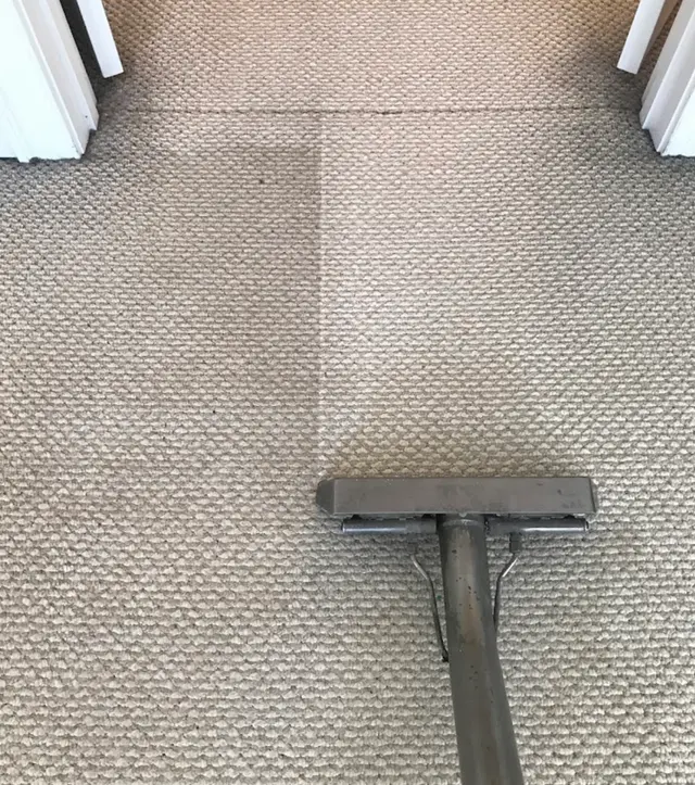 Phoenix Cleaning Solutions — photo from the business 6