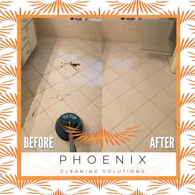 Phoenix Cleaning Solutions — photo from the business 10