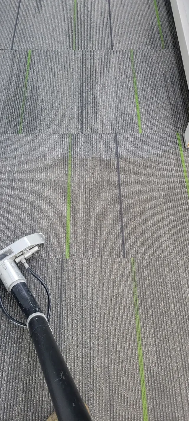 Phoenix Cleaning Solutions — photo from the business 12
