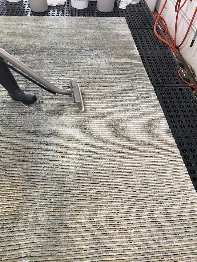 Phoenix Cleaning Solutions — photo from the business 2