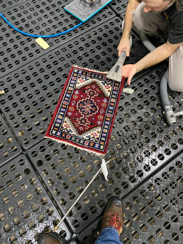 Phoenix Cleaning Solutions — photo from the business 8