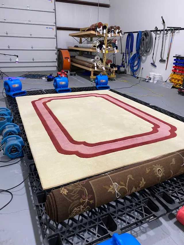 Phoenix Cleaning Solutions — photo from the business 7