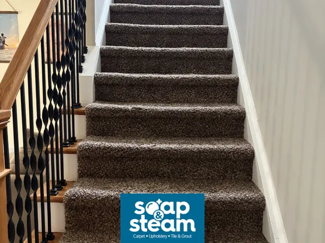 Soap & Steam Carpet Cleaning — photo from the business 4