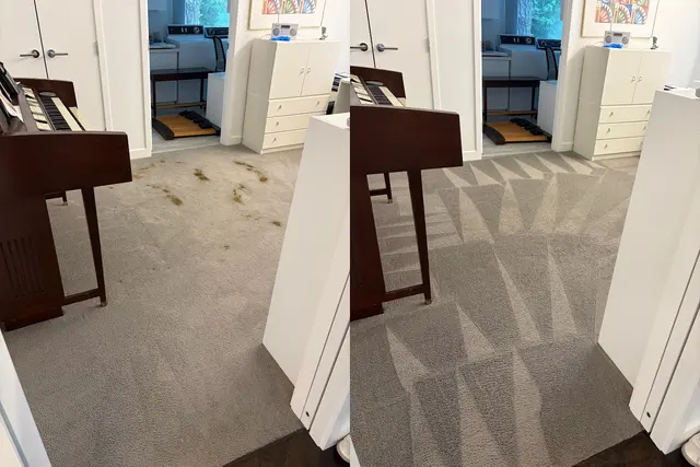 Soap & Steam Carpet Cleaning — photo from the business 5