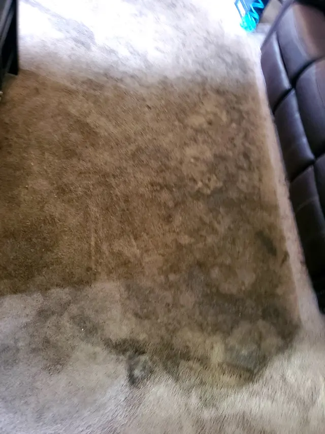 Customer photo from Jason's review