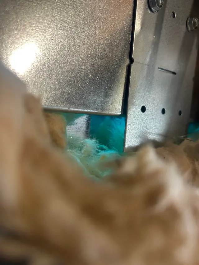 Zerorez — customer photo 8