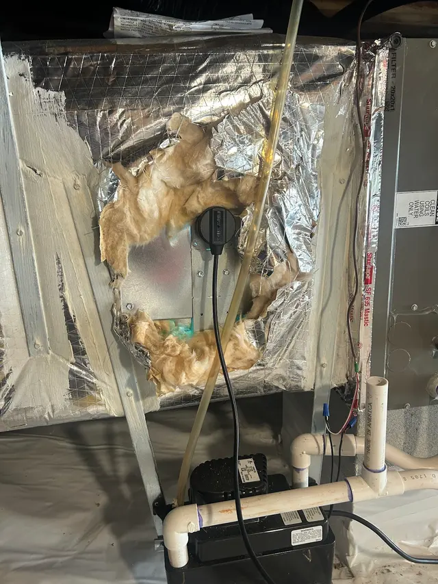 Zerorez — customer photo 5