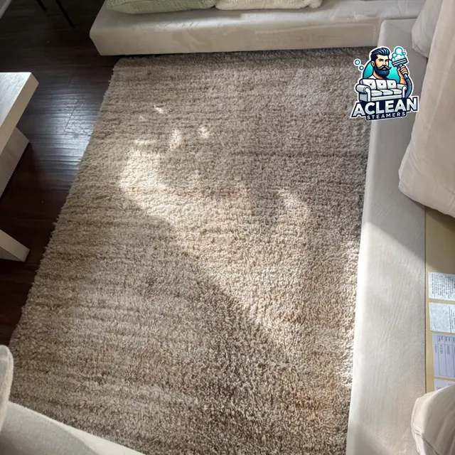 Aclean Steamers Couch & Upholstery Cleaning — photo from the business 5