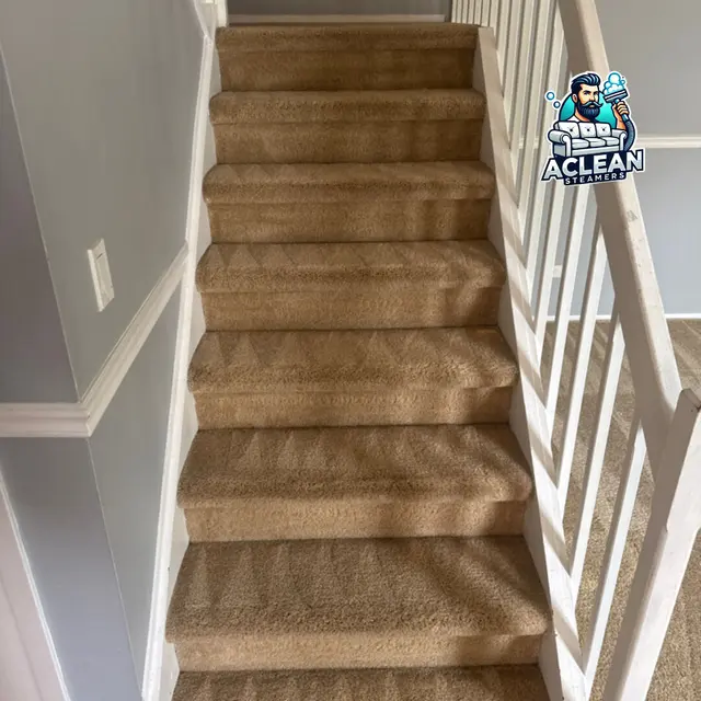 Aclean Steamers Couch & Upholstery Cleaning — photo from the business 4