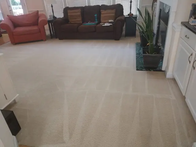 Southern Class Carpet & Upholstery Cleaning — photo from the business 8