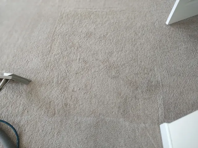 Southern Class Carpet & Upholstery Cleaning — photo from the business 2