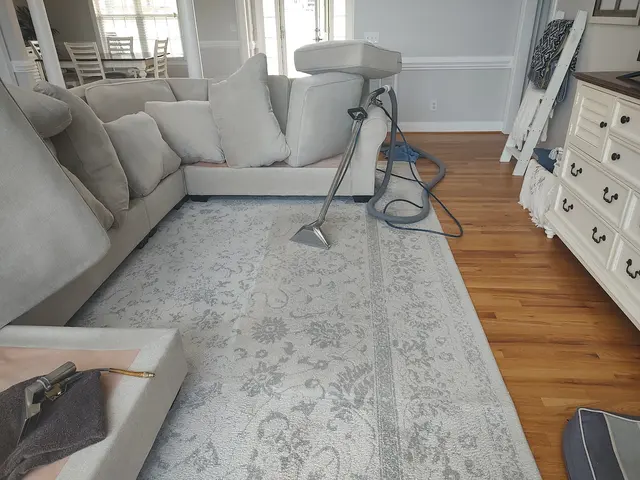 Southern Class Carpet & Upholstery Cleaning — photo from the business 11