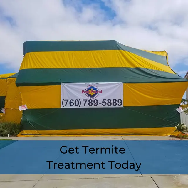 Pest Patrol, Inc. — photo from the business 3