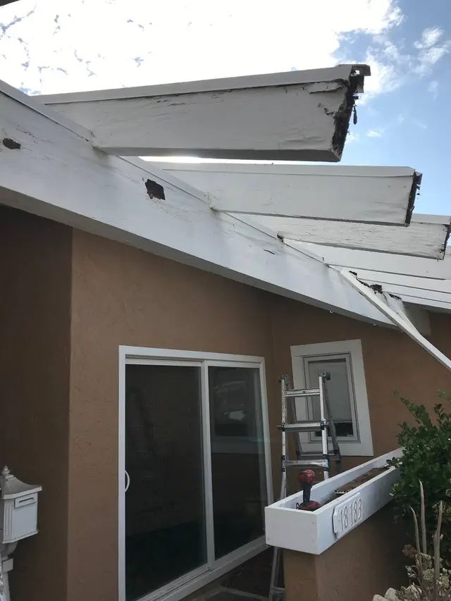 Pest Patrol, Inc. — photo from the business 2