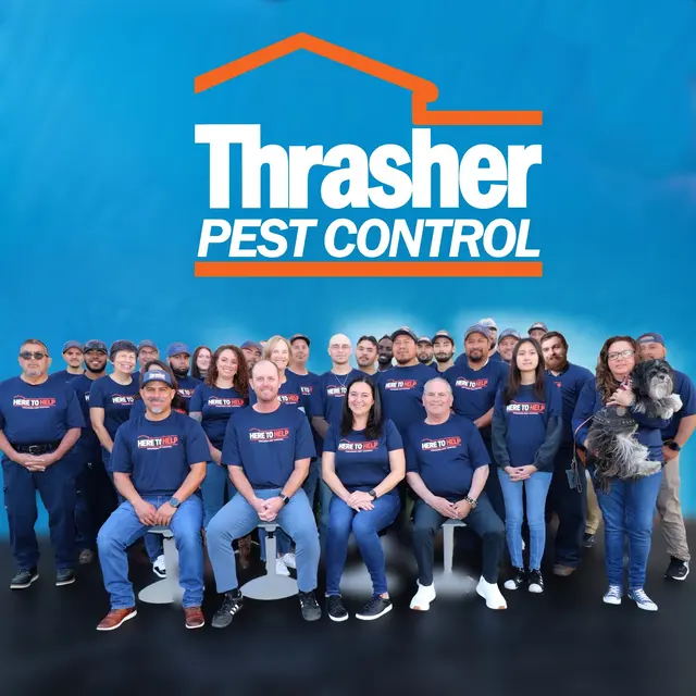 Thrasher Pest Control — photo from the business 7