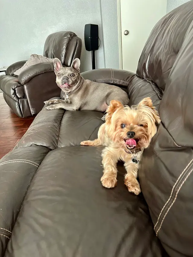 Customer photo from CHANNA's review