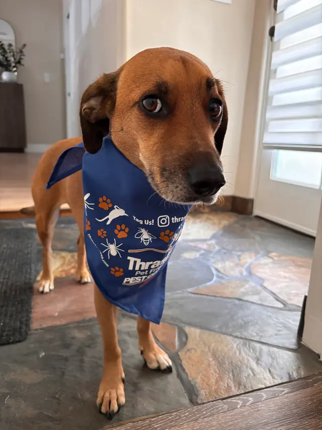 Customer photo from Elizabeth's review