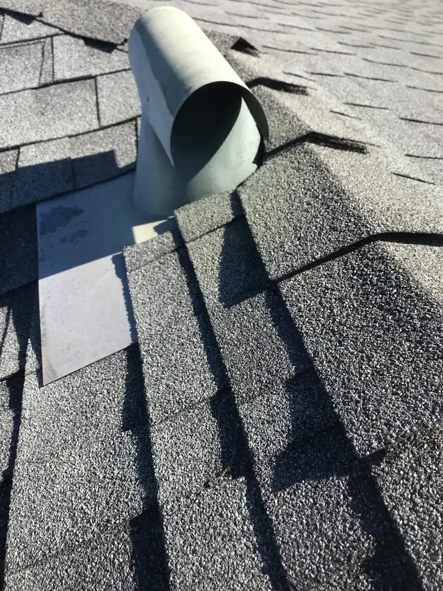 Thrasher Pest Control — photo from the business 9