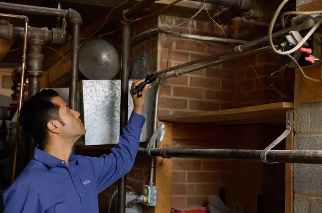 PURCOR Pest Solutions — photo from the business 12