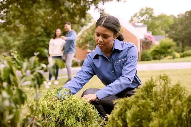 PURCOR Pest Solutions — photo from the business 8