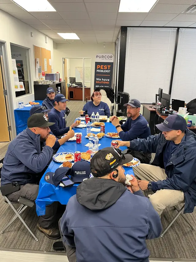 PURCOR Pest Solutions — photo from the business 5