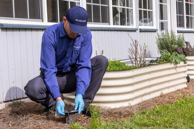 PURCOR Pest Solutions — photo from the business 10