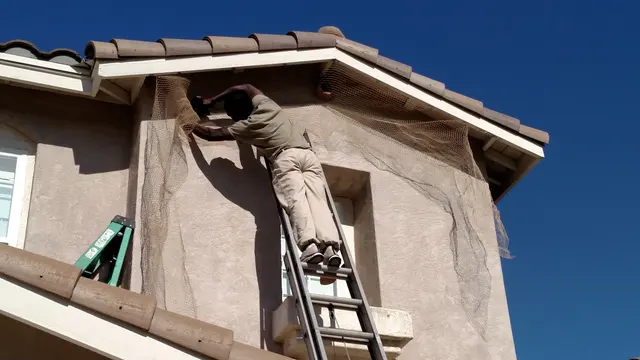 Wildlife Removal Services — photo from the business 3