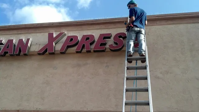 Wildlife Removal Services — photo from the business 5