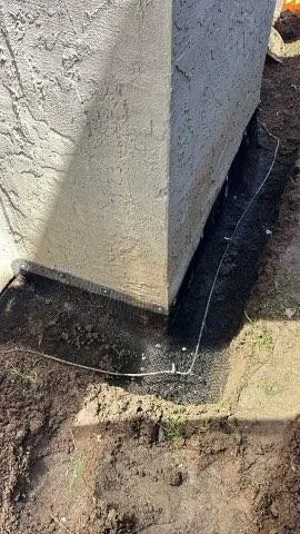 Wildlife Removal Services — customer photo 12