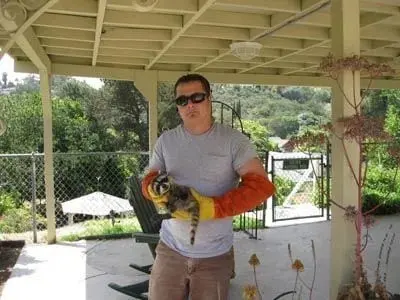 Wildlife Removal Services — photo from the business 6