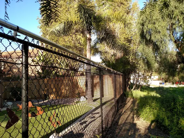 Wildlife Removal Services — photo from the business 9