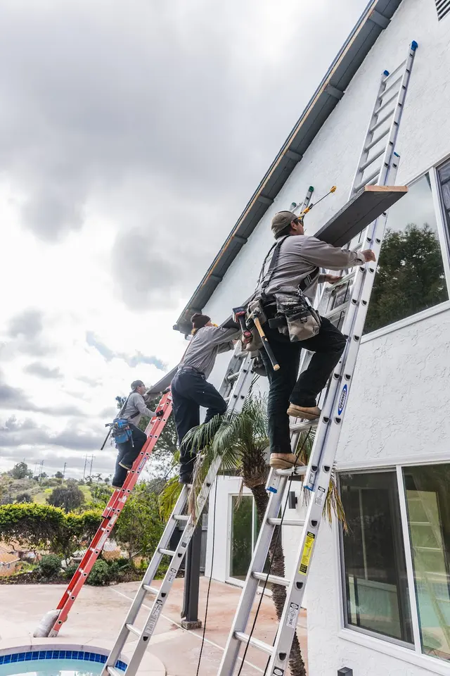 Lloyd Pest & Termite Control — photo from the business 2
