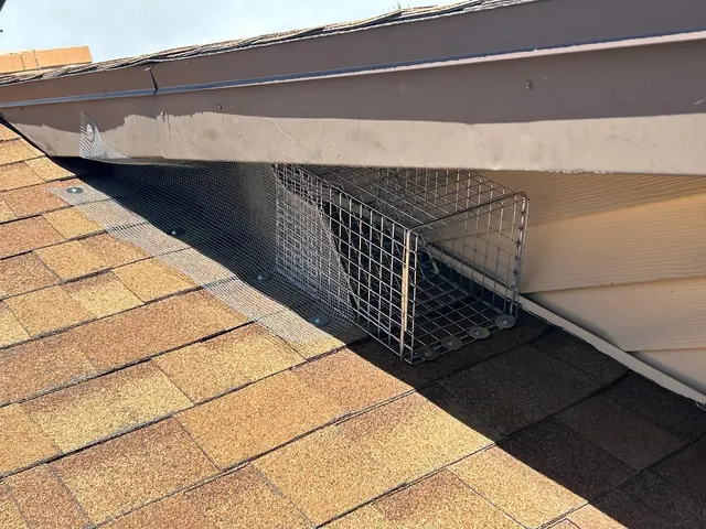 Best Pest & Wildlife Control California — photo from the business 12