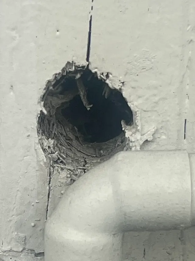 Best Pest & Wildlife Control California — customer photo 8