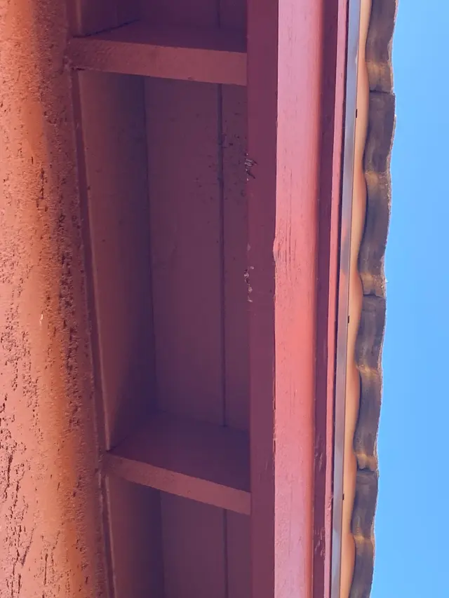Best Pest & Wildlife Control California — customer photo 11