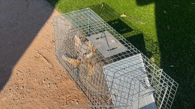 Best Pest & Wildlife Control California — customer photo 7