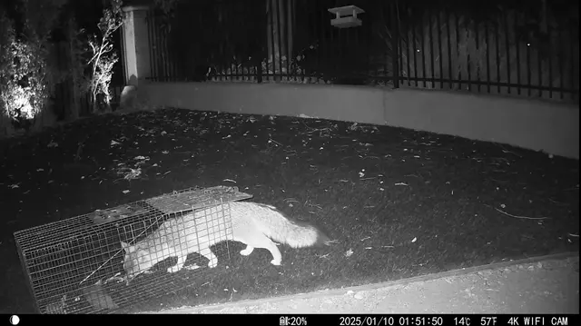 Best Pest & Wildlife Control California — customer photo 10