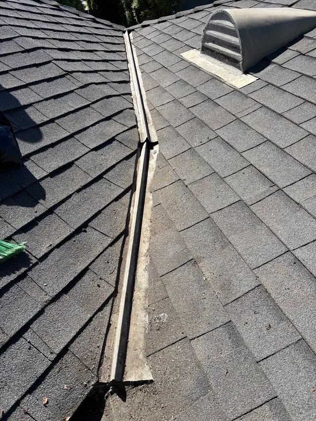Best Pest & Wildlife Control California — customer photo 5