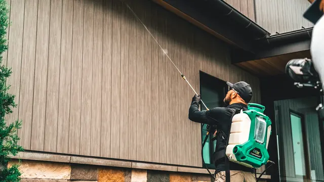 Pest Arrest Pest Control — photo from the business 6