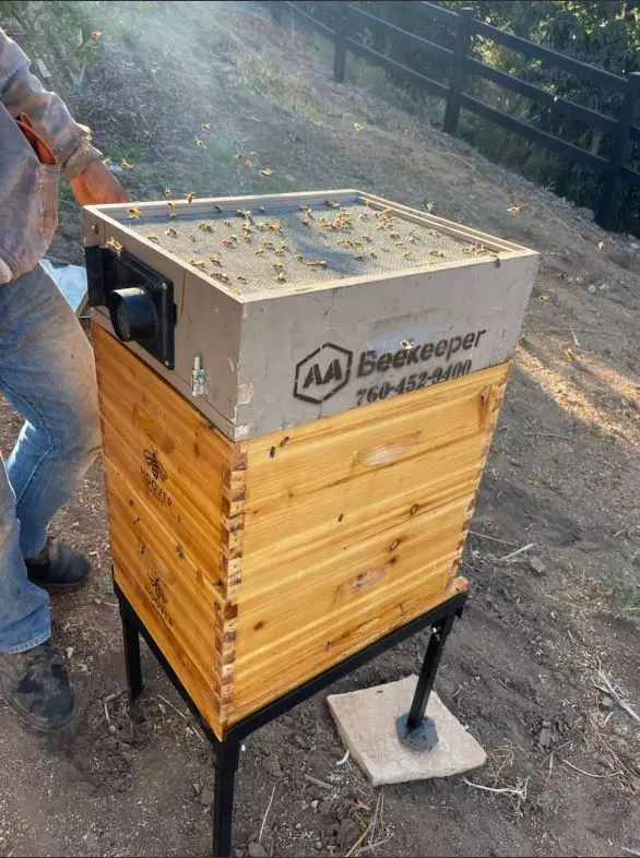 AA-Beekeeper | Live Bee Removal & Relocation — photo from the business 11