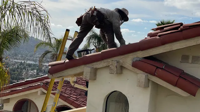 AA-Beekeeper | Live Bee Removal & Relocation — photo from the business 2